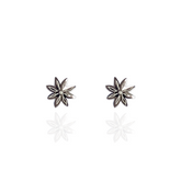 Star Anise Stud Earring 18K Silver Plated
